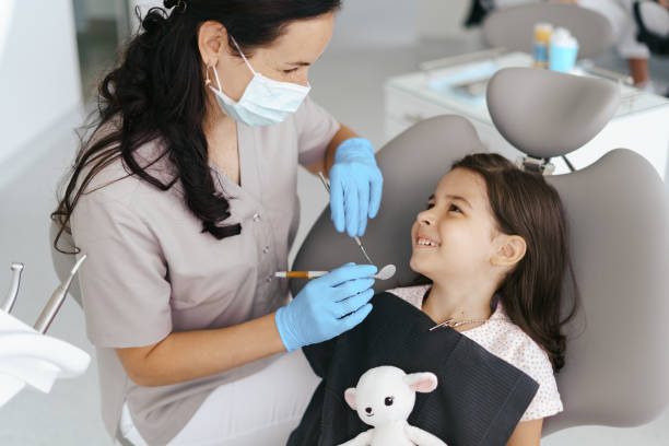 Best Emergency Orthodontic Repairs in New Port Richey, FL